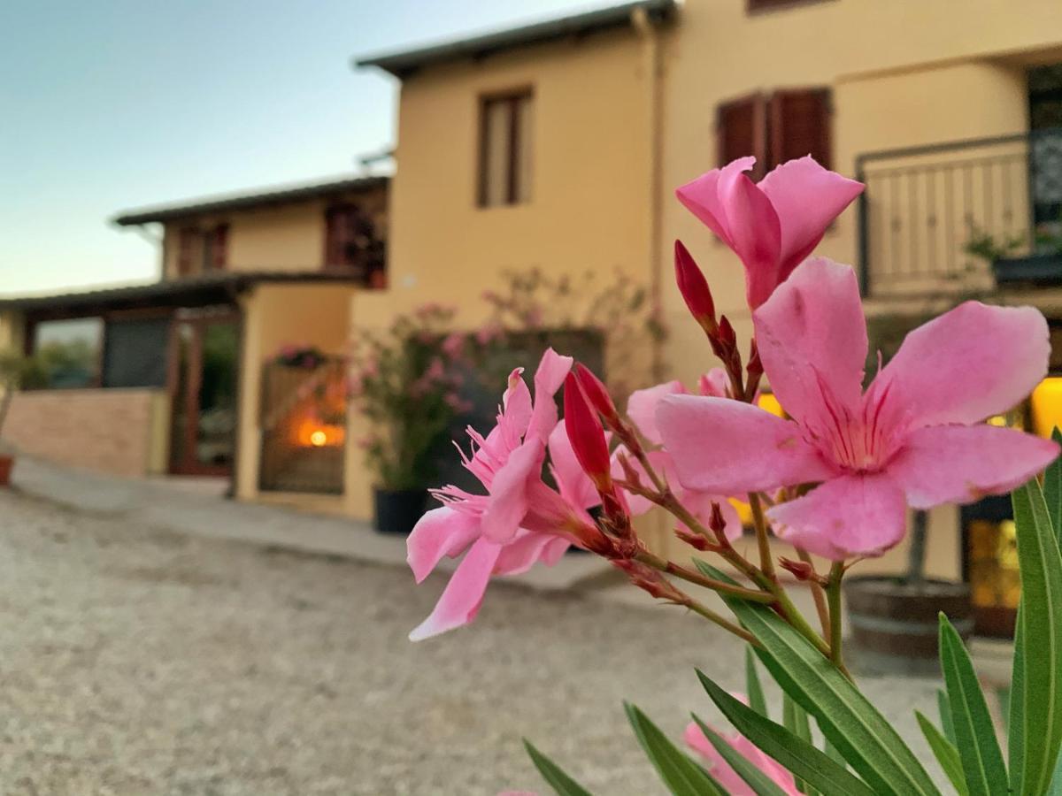 Chiaraluce Country House Massignano Exterior foto
